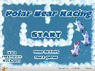 Polar Bear Racing