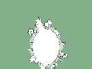 Orbita 